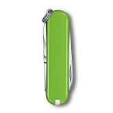 0.6223.43G Victorinox Classic - Smashed Avocado (Green)