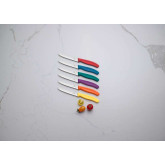 6.7836.6C1 Victorinox set 6 kuhinjskih nožića