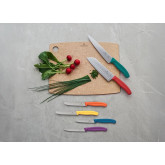 6.7836.6C1 Victorinox set 6 kuhinjskih nožića