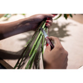 3.9050.22B1 Victorinox voćarski nož (ljubičasti)